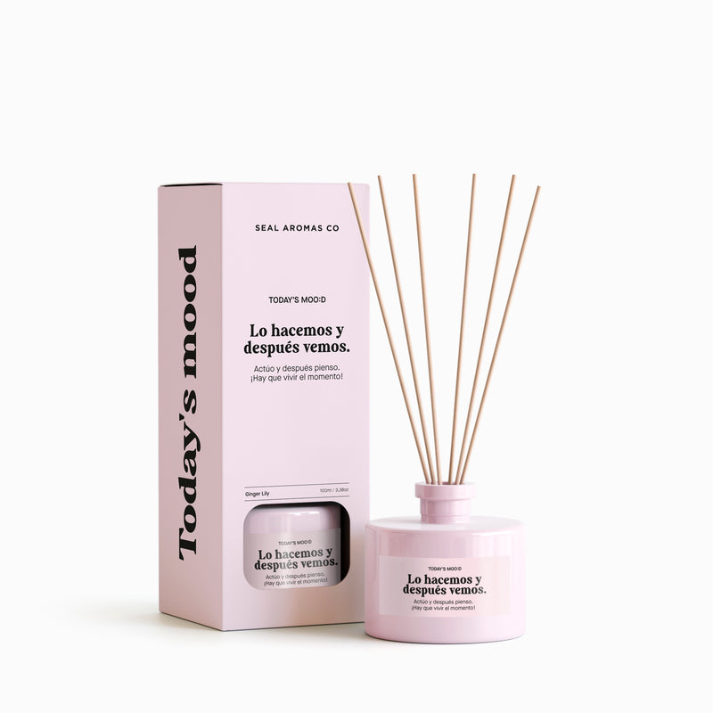 Reed Diffuser Today's Mood - We do it and then we see
